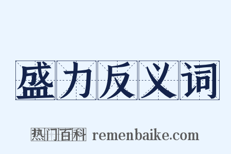 盛力反义词是什么意思的图片